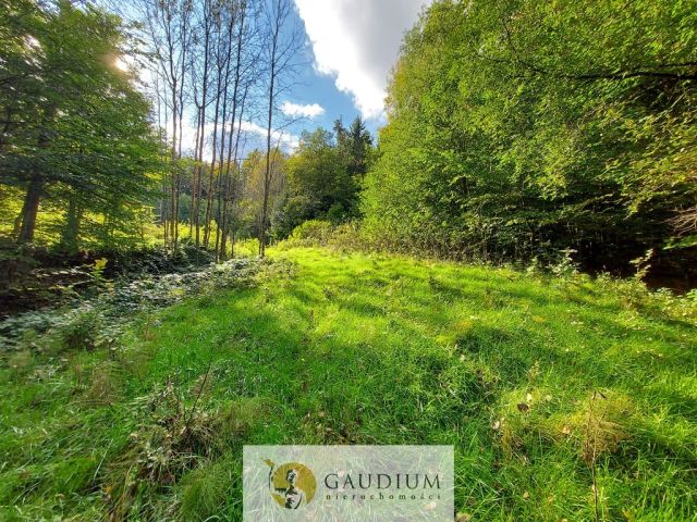 Działka Kobysewo, ul. Klasztorna. Zdjęcie 2