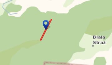 Działka leśna Policzna