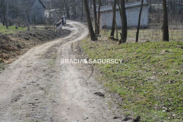 Działka leśna Malkowice. Zdjęcie 2