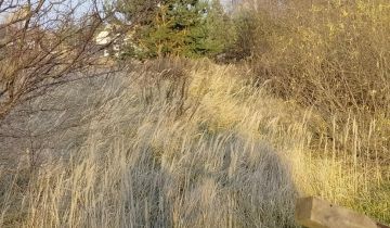 Działka rolno-budowlana Żelechów, ul. Żużlowa