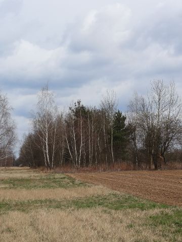 Działka budowlana Radwanków Szlachecki. Zdjęcie 1
