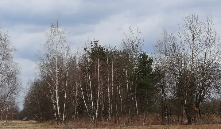 Działka budowlana Radwanków Szlachecki