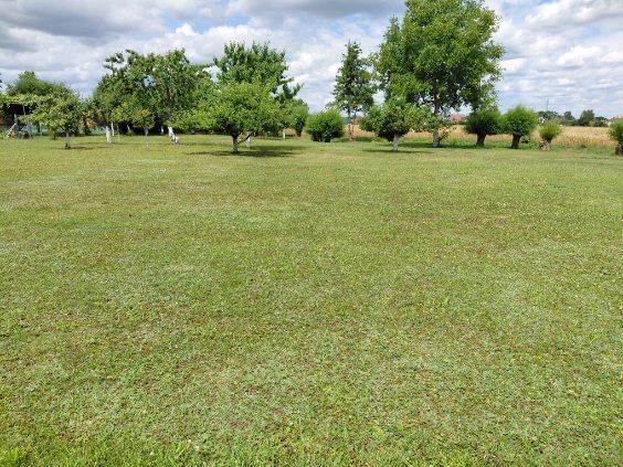 Działka budowlana Osiedle Poznańskie. Zdjęcie 3