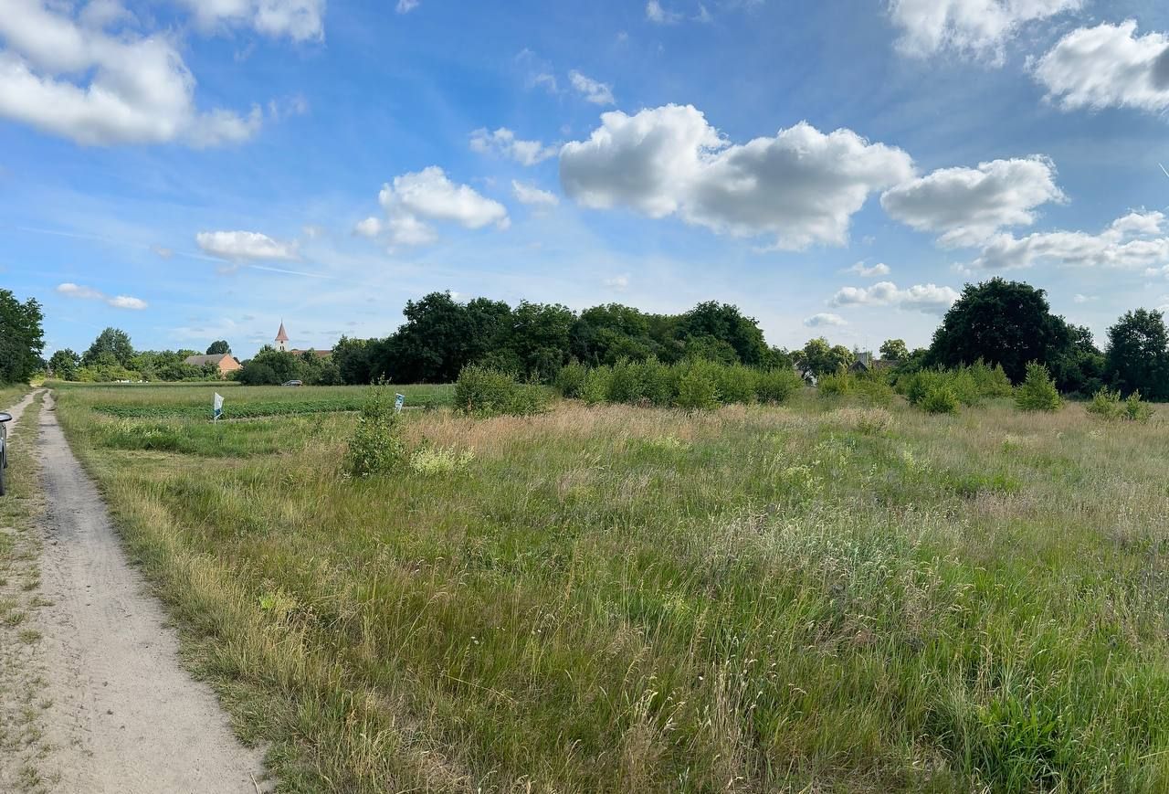 Działka budowlana Strzegów. Zdjęcie 12