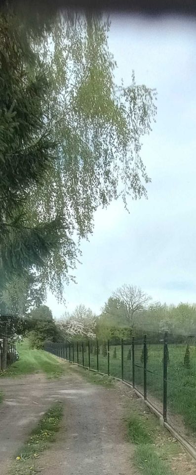 Działka rolno-budowlana Ulina Mała. Zdjęcie 8