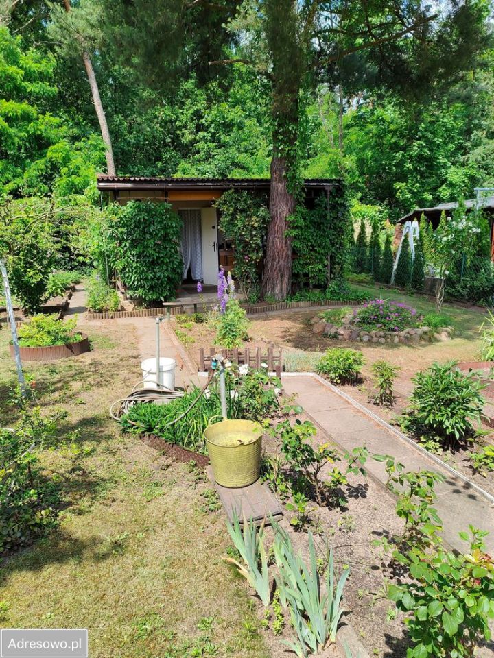 Działka rod Łódź Bałuty, ul. Krajowa. Zdjęcie 7