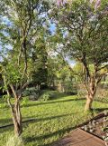 Działka rod Łódź Radogoszcz, ul. Kazimiery i Jana Marczyńskich. Zdjęcie 2