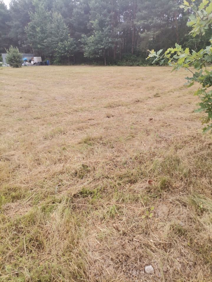 Działka budowlana Kolonia Lesiów. Zdjęcie 6