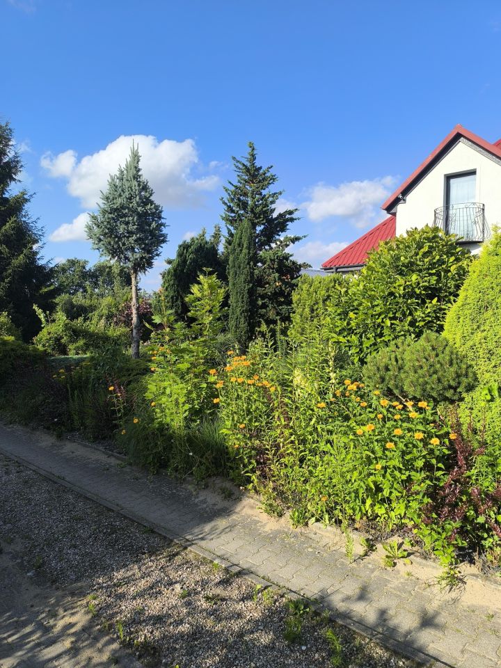 bliźniak, 5 pokoi Koszanowo. Zdjęcie 5