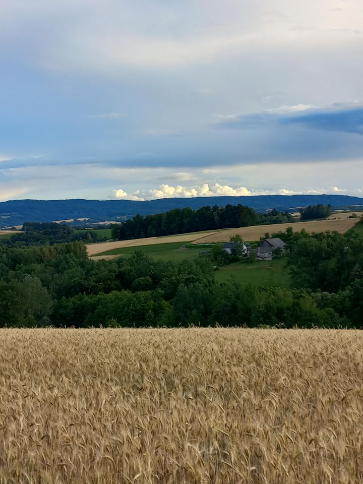 Działka budowlana Brzeziny