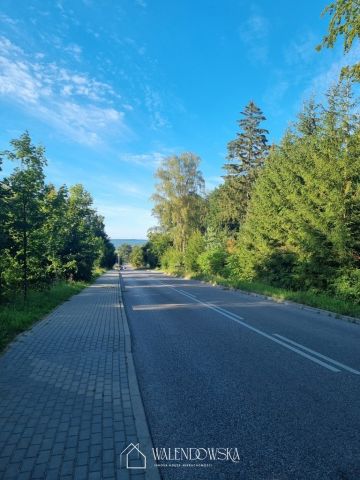 Działka rolna Suchacz. Zdjęcie 4