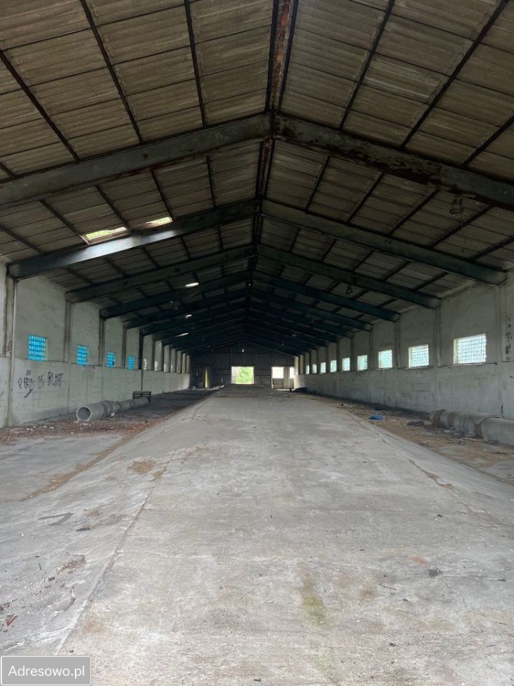 Hala/magazyn Kisiny. Zdjęcie 6