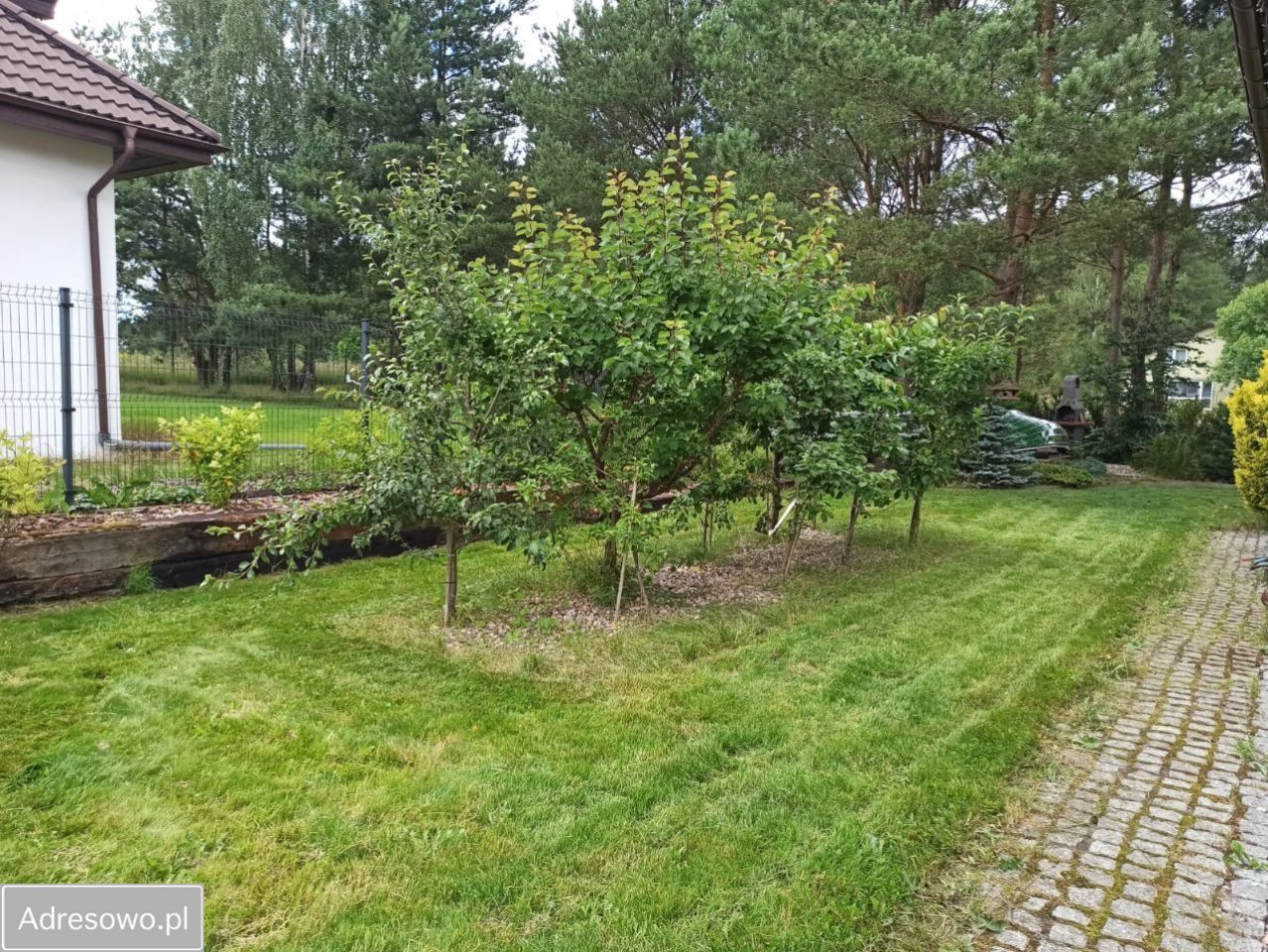 dom wolnostojący, 5 pokoi Bojano. Zdjęcie 11