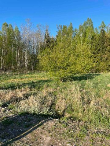Działka budowlana Aleksandrówka Katarzynów, ul. Prosta. Zdjęcie 5
