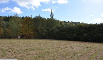 Działka rolno-budowlana Gruszków