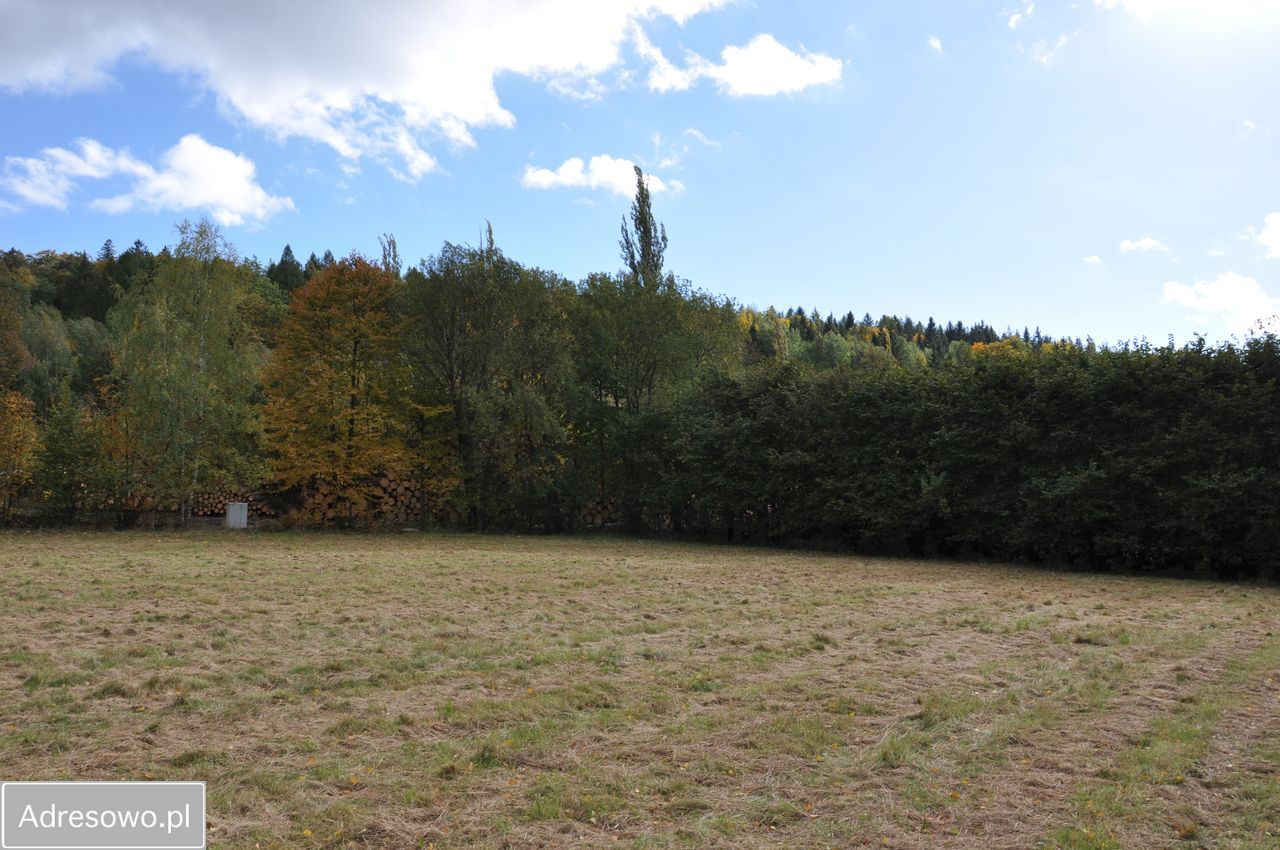 Działka rolno-budowlana Gruszków