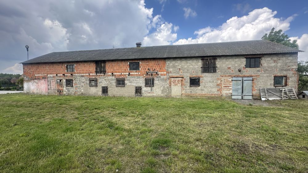 Działka rolna Karniszewo. Zdjęcie 5