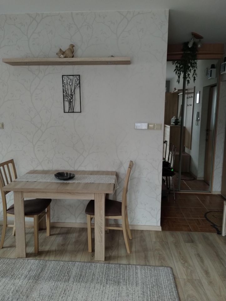 Mieszkanie 1-pokojowe Brwinów, ul. Sochaczewska. Zdjęcie 4