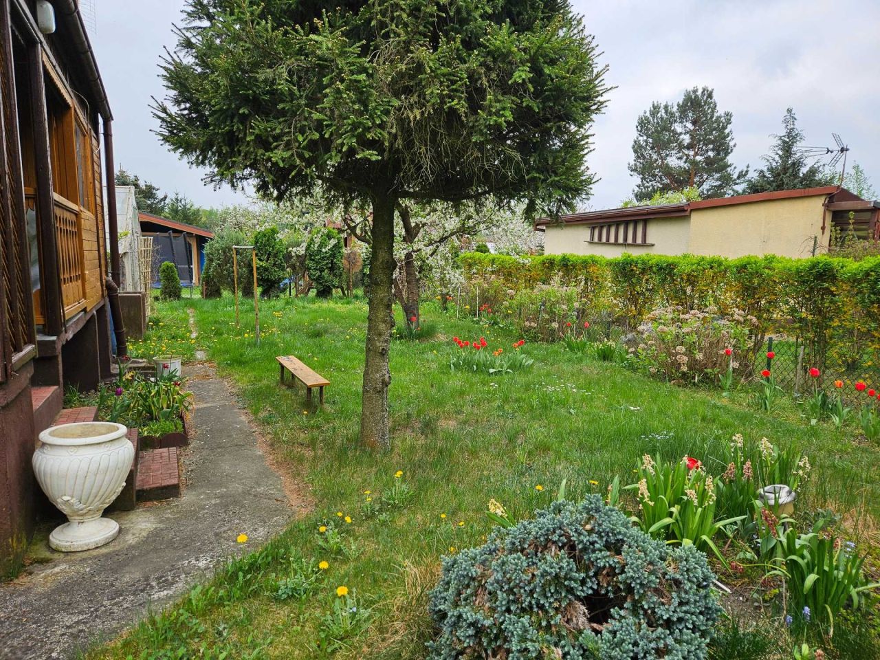 Działka rod Aleksandrów Łódzki. Zdjęcie 2