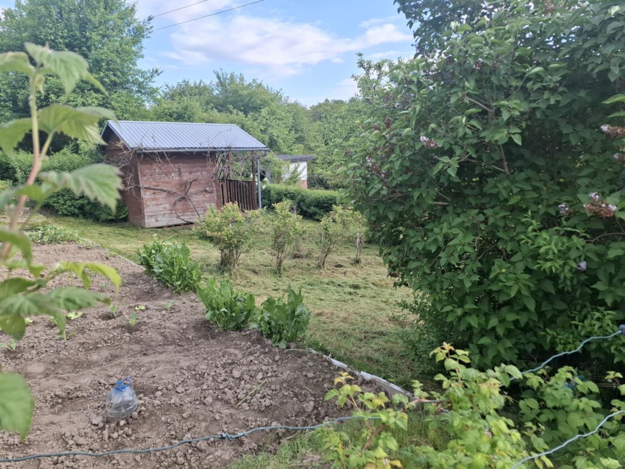 Działka rod Rzeszów Pobitno, ul. Polna. Zdjęcie 2