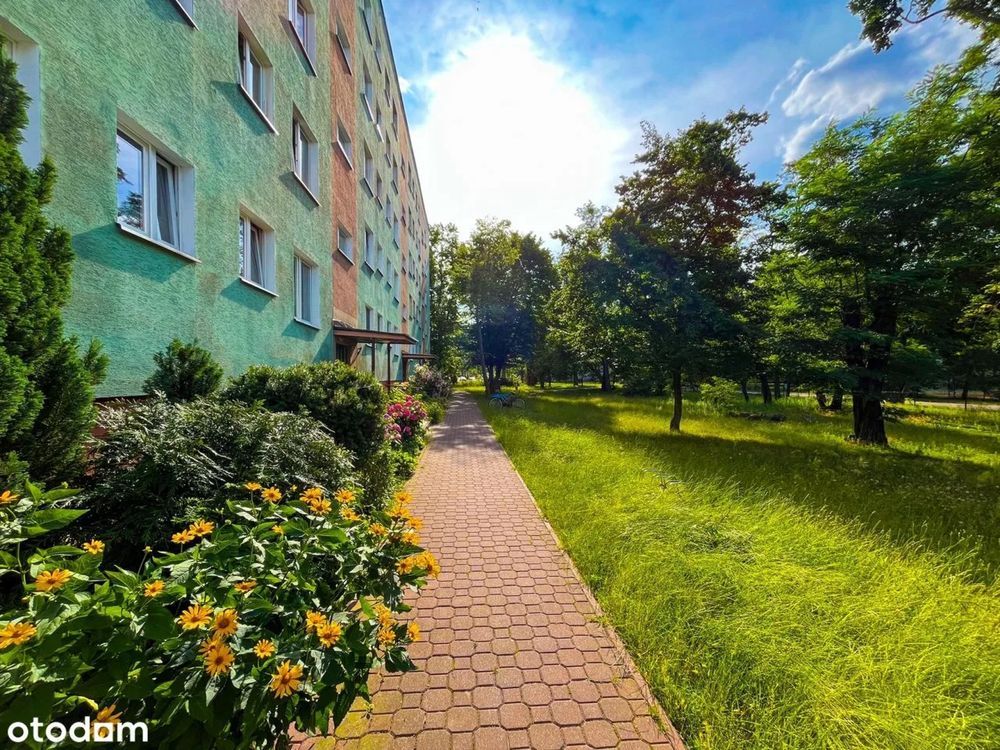 Mieszkanie 3-pokojowe Grodzisk Mazowiecki Centrum, ul. Lutniana. Zdjęcie 2