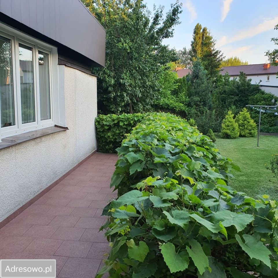 dom wolnostojący, 5 pokoi Ciechanów Podzamcze, ul. Zbyszka i Danusi. Zdjęcie 2