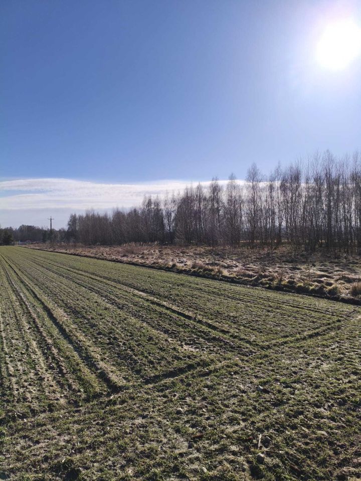 Działka budowlana Beleń-Kolonia. Zdjęcie 6