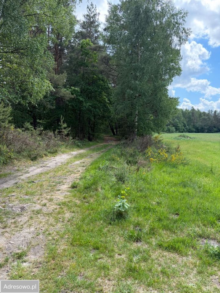 Działka inwestycyjna Dębogórze, ul. Lisia. Zdjęcie 9
