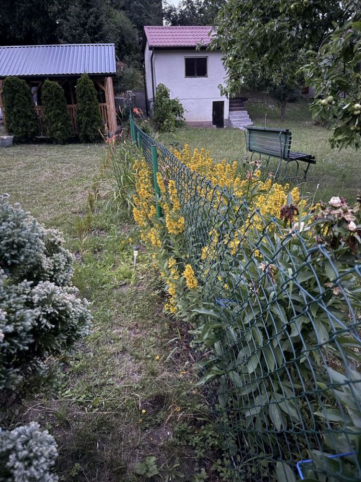 Działka rod Szczecin Golęcino. Zdjęcie 8