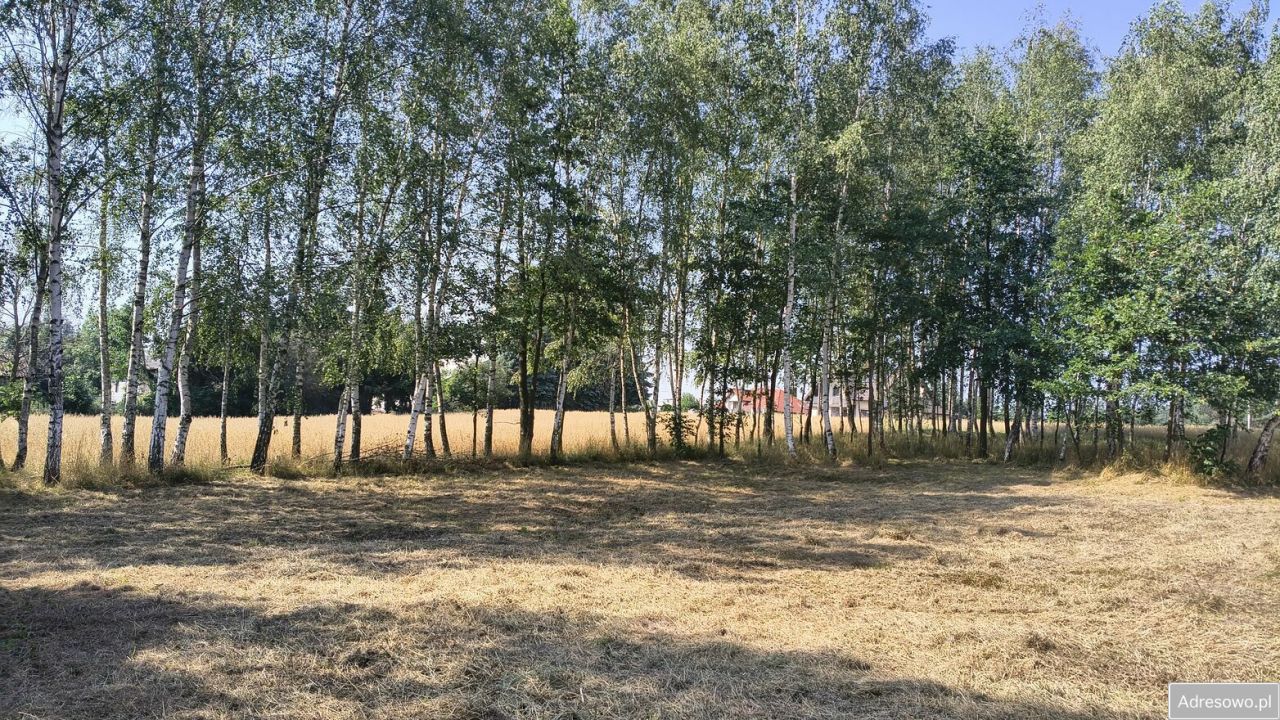 Działka budowlana Dąbrówka Osuchowska. Zdjęcie 9