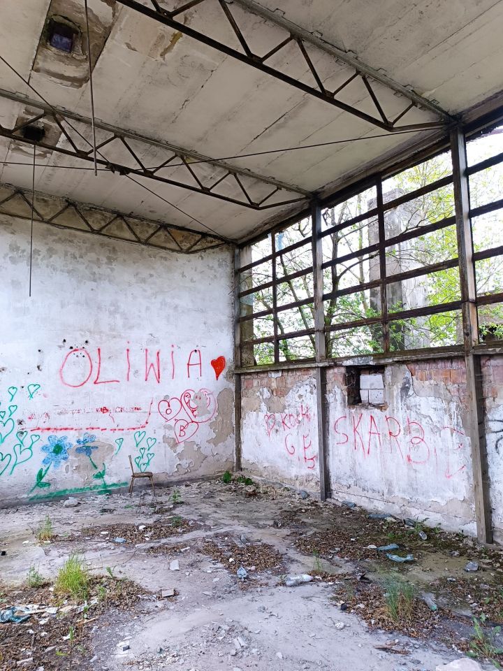 Działka inwestycyjna Bogusławice. Zdjęcie 7