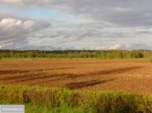 Działka inwestycyjna Bartosze. Zdjęcie 3