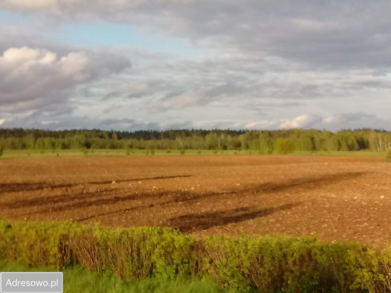 Działka inwestycyjna Bartosze. Zdjęcie 4