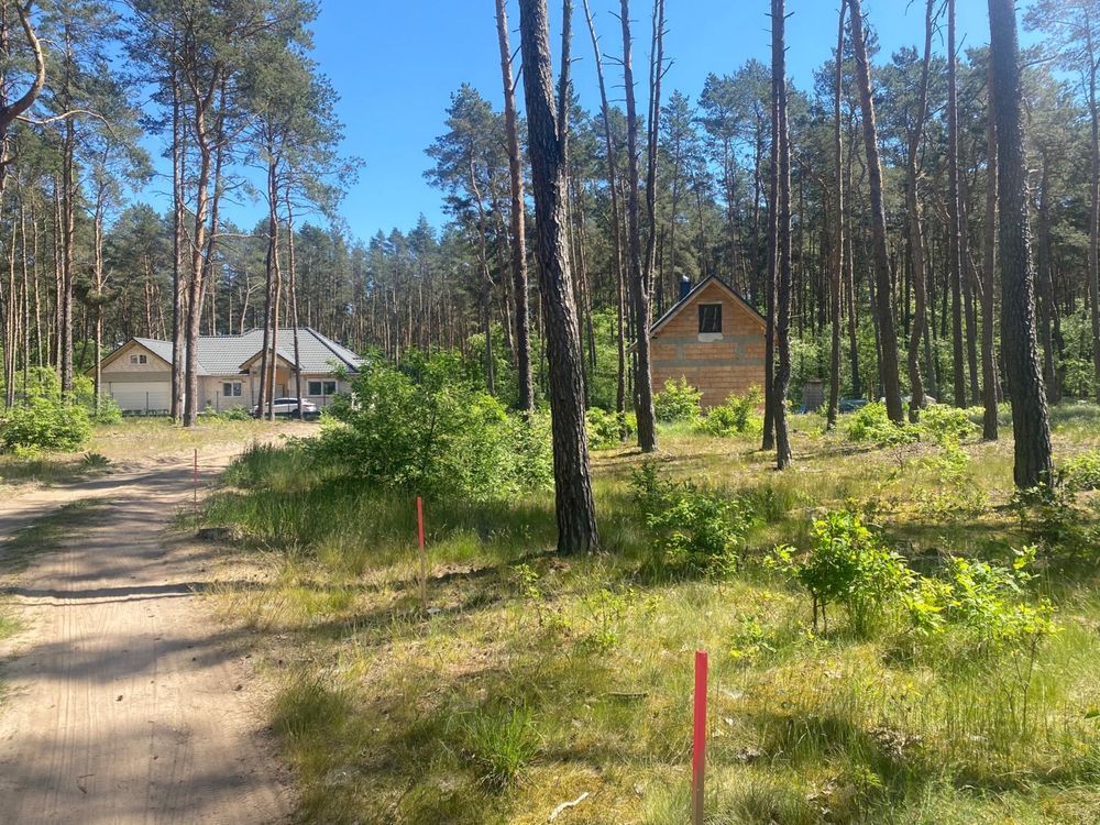 Działka budowlana Borek. Zdjęcie 5