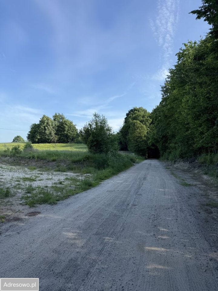 Działka Piotrowo, ul. Leśna. Zdjęcie 4