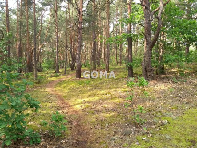 Działka budowlana Warszawa Wesoła. Zdjęcie 2