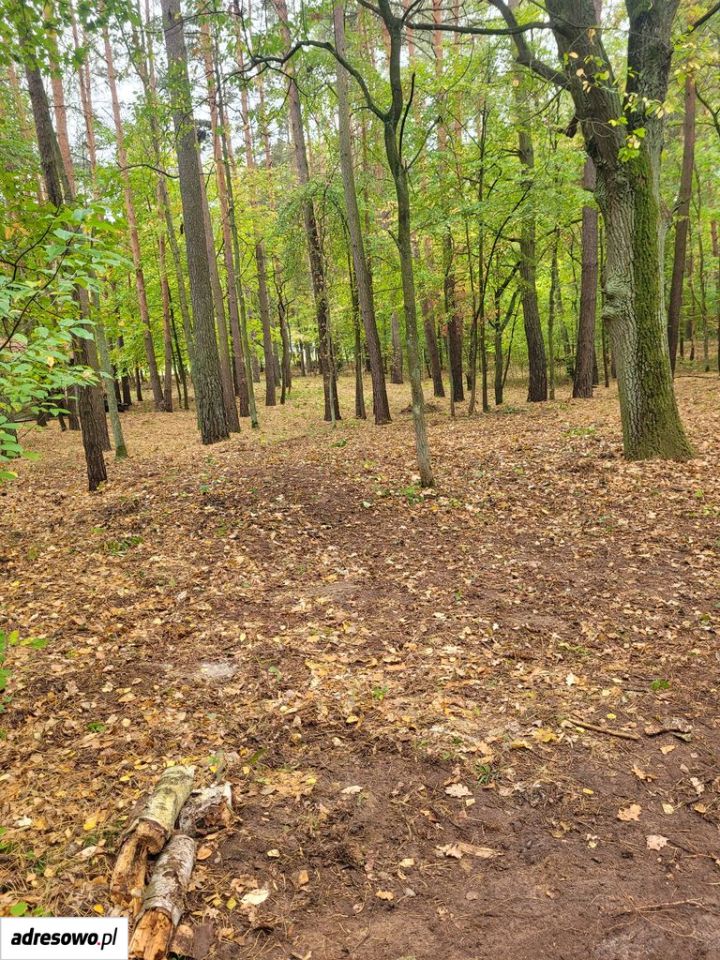 Działka budowlana Grotniki, ul. Ozorkowska. Zdjęcie 3