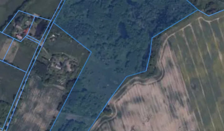 Działka siedliskowa Piława