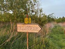 Działka budowlana Lisowice, ul. Różana. Zdjęcie 4