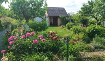 Działka rekreacyjna Bełchatów, ul. Cegielniana