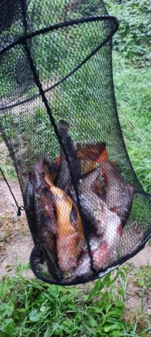 dom letniskowy, 3 pokoje Ostaszewo Nad Jeziorem. Zdjęcie 15