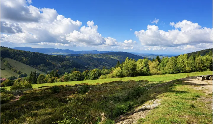 Działka rolno-budowlana Bartnica