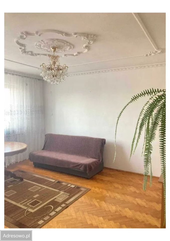 dom wolnostojący Letniki. Zdjęcie 4