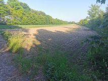 Działka rolna Iłża, ul. Batalionów Chłopskich. Zdjęcie 3