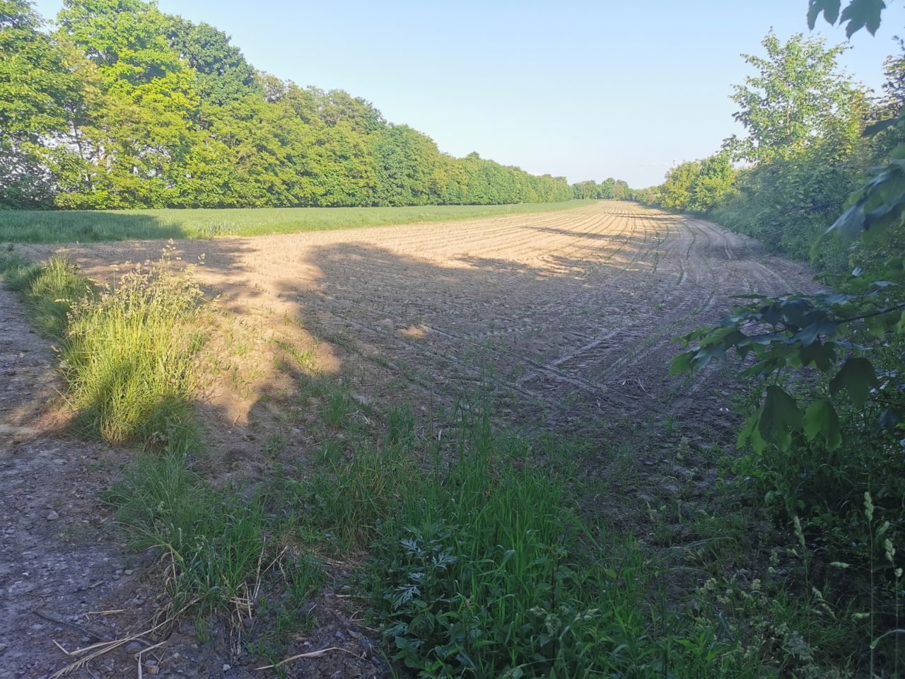 Działka rolna Iłża, ul. Batalionów Chłopskich. Zdjęcie 4