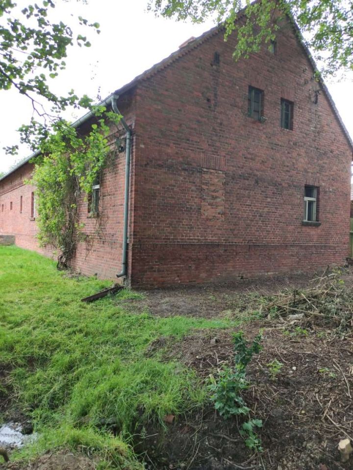 Działka rolna Osiecko. Zdjęcie 3