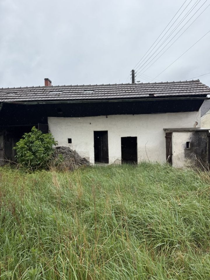 gospodarstwo Daniec. Zdjęcie 7