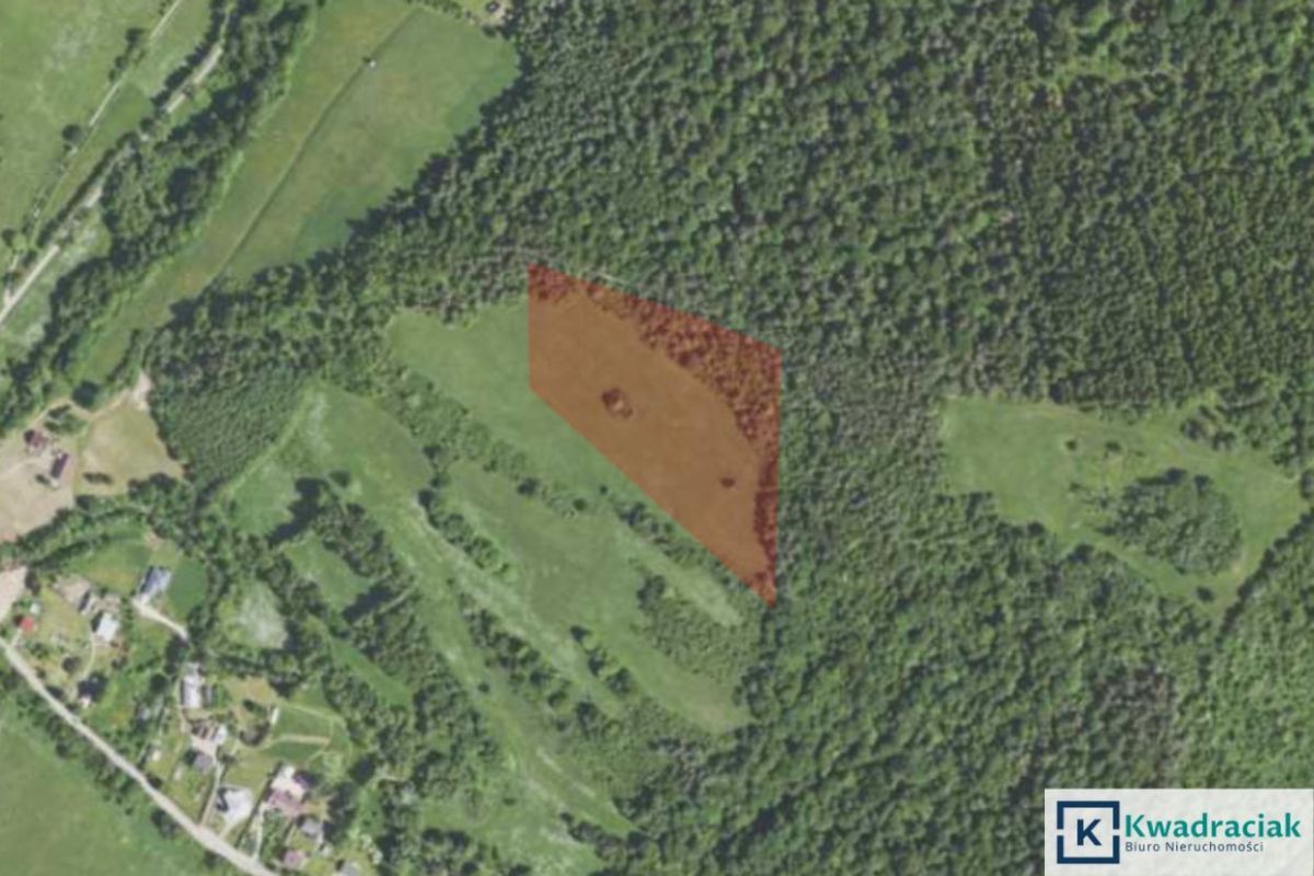 Działka rolna Stężnica. Zdjęcie 7