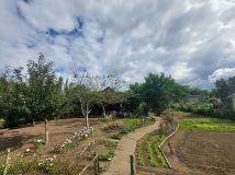 Działka rod Niekłonice. Zdjęcie 2