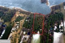 Działka rekreacyjna Mniszki A. Zdjęcie 4